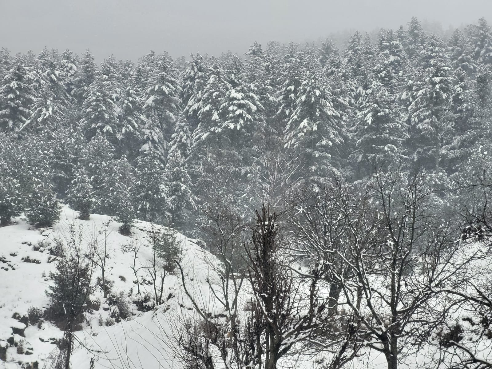 Significant Weather Activity Expected Tonight: MET