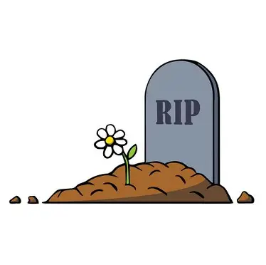 Opinion| Kashmir’s Deceased Deserve Dignified Final Journey